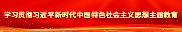 日逼逼视频网学习贯彻习近平新时代中国特色社会主义思想主题教育